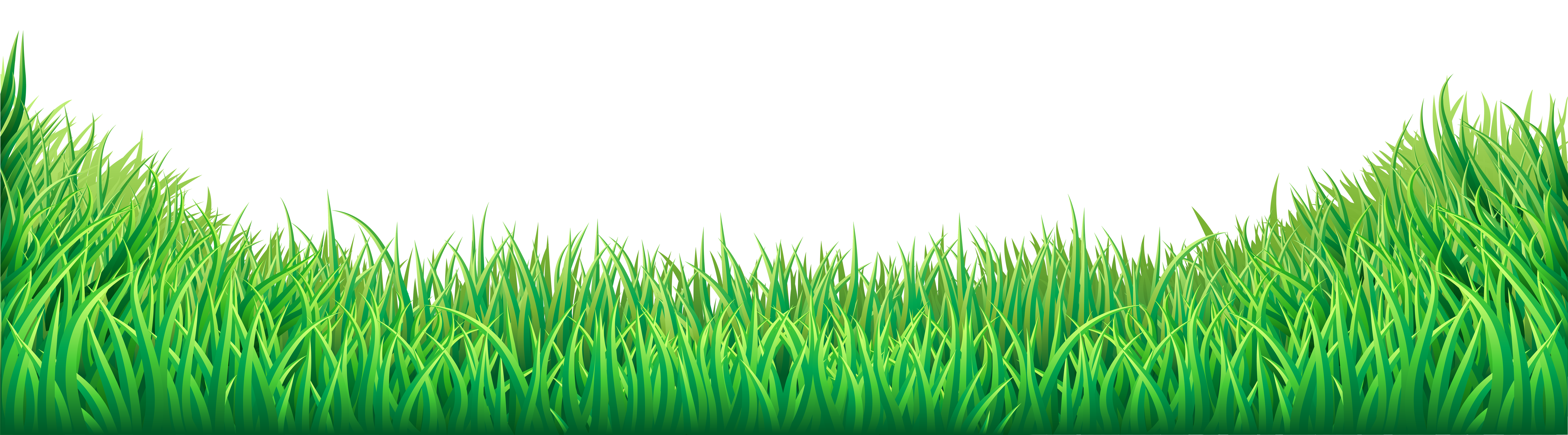 grass